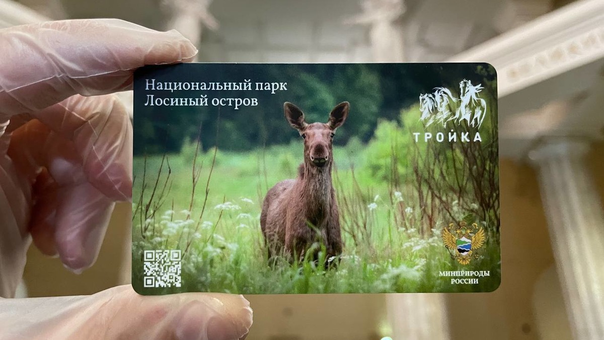 Карты «Тройка», посвященные парку «Лосиный Остров», появились в московском метро