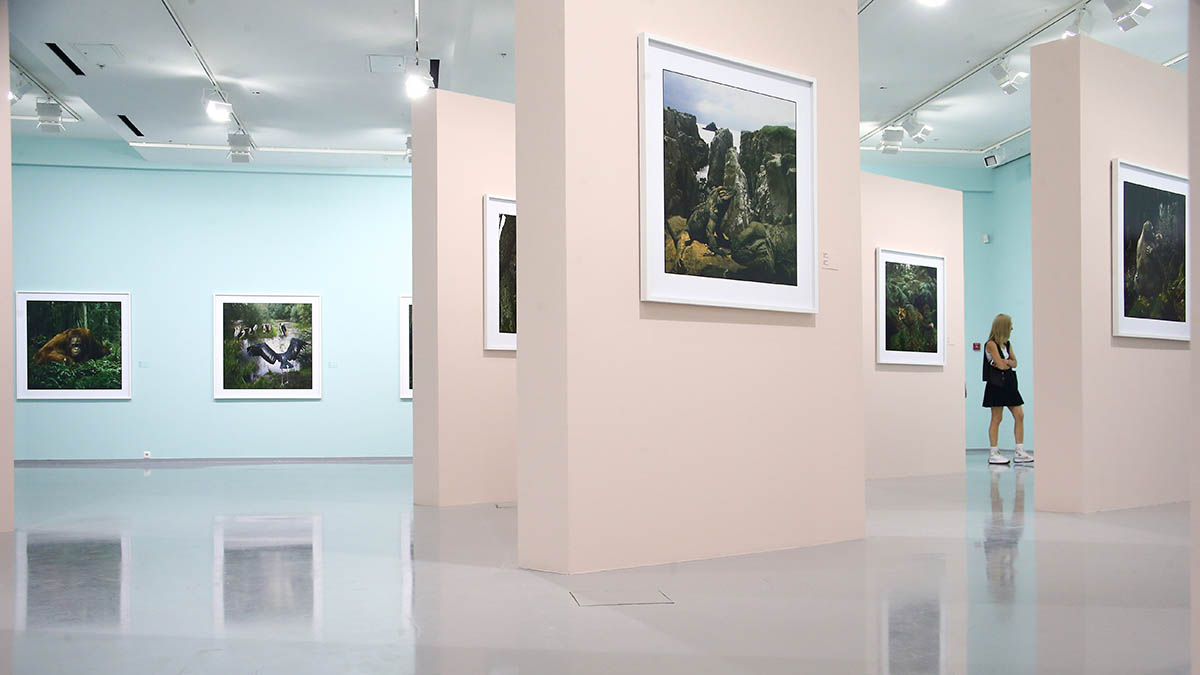 Филиал музея «Эрмитаж» построят в Москве