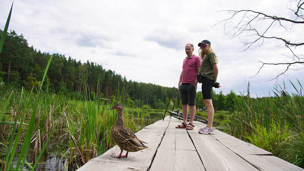 «Ежиные истории» и «Пернатые рассказы»: Мосприрода объявила программу на выходные