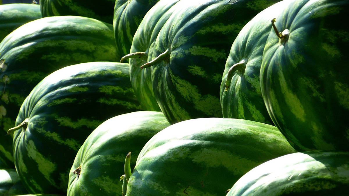 3 августа: какой сегодня праздник отмечают