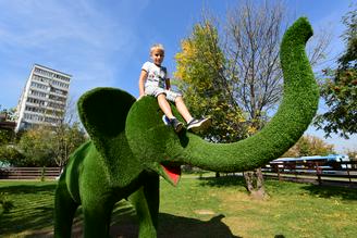 Дворовым территориям могут присвоить семейный стандарт