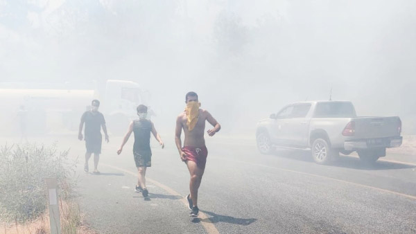 Пожары в Турции и туризм: как изменились цены и спрос на отдых