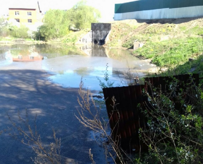 Проверку сообщений о загрязнении Николо-Хованского пруда начали в Новой Москве