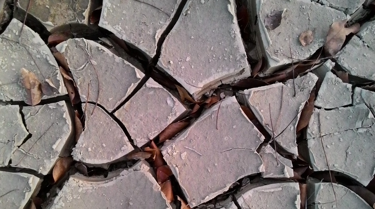 Климатолог допустил приход «европейской» засухи в Россию 