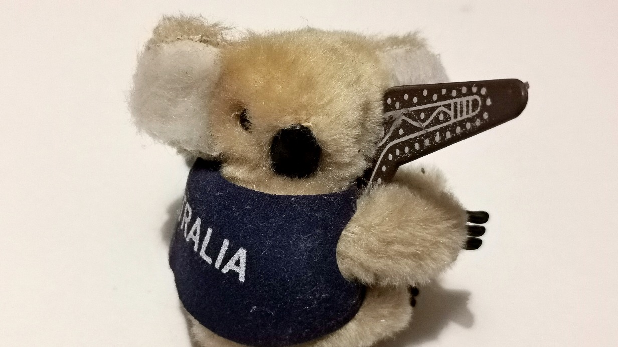 Маленькая коала бережно хранится дома у Евгении Стоговой и напоминает о путешествиях