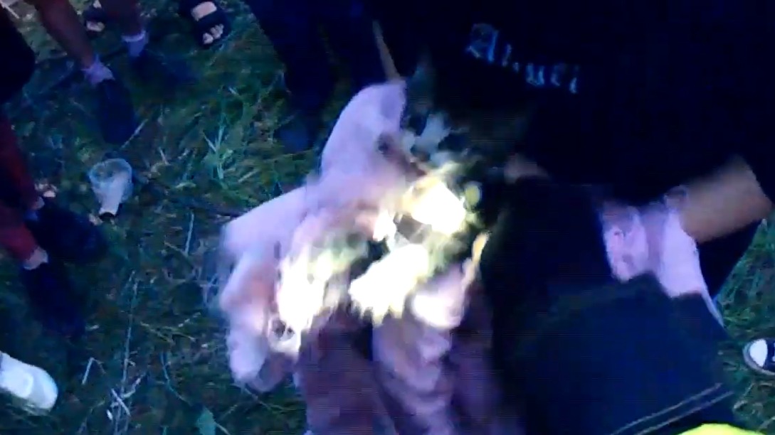 Спасатели в Подмосковье помогли провалившимся в трубу котятам