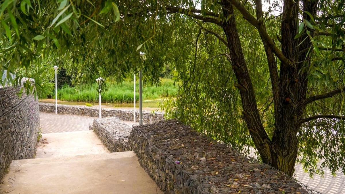 Парк в Новой Москве на правом берегу реки Десны появится в 2021 году