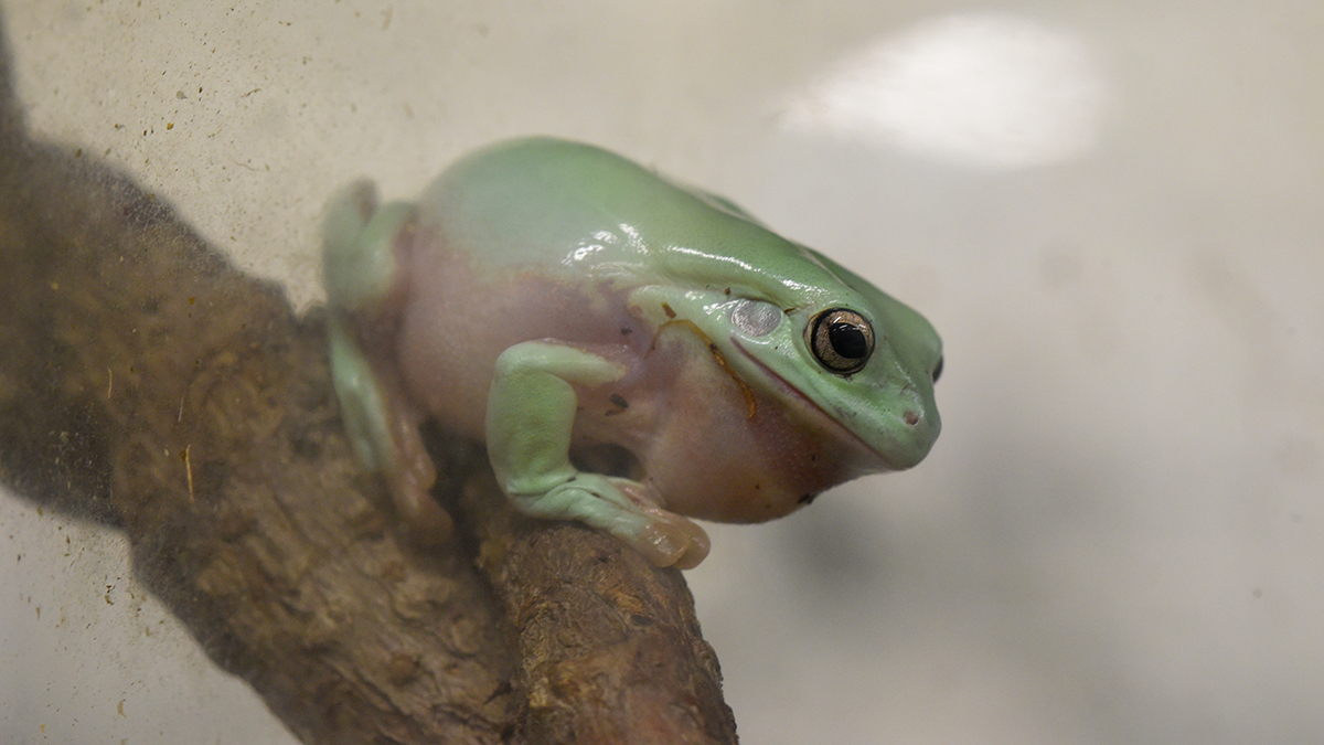 Праздники 13 мая