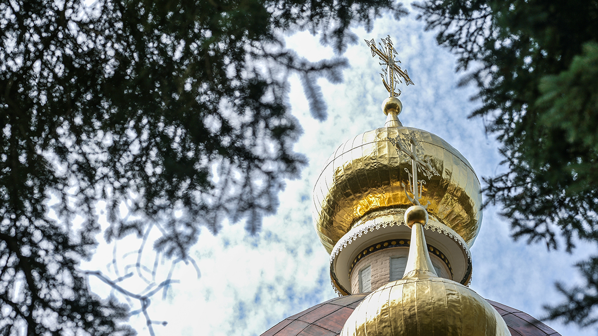 Вандал повредил кресты Иоанно-Предтеченского Храма и Церкви Владимирской иконы Божией Матери
