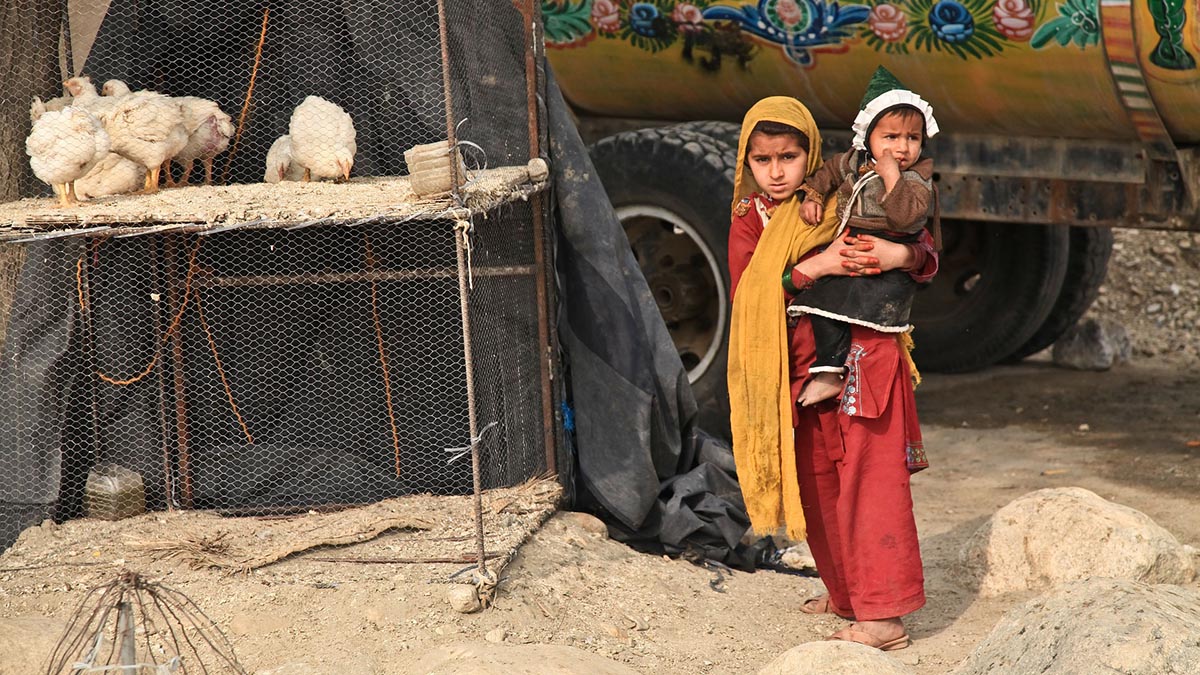 Госдеп назвал условия получения «Талибаном»* поддержки и легитимности