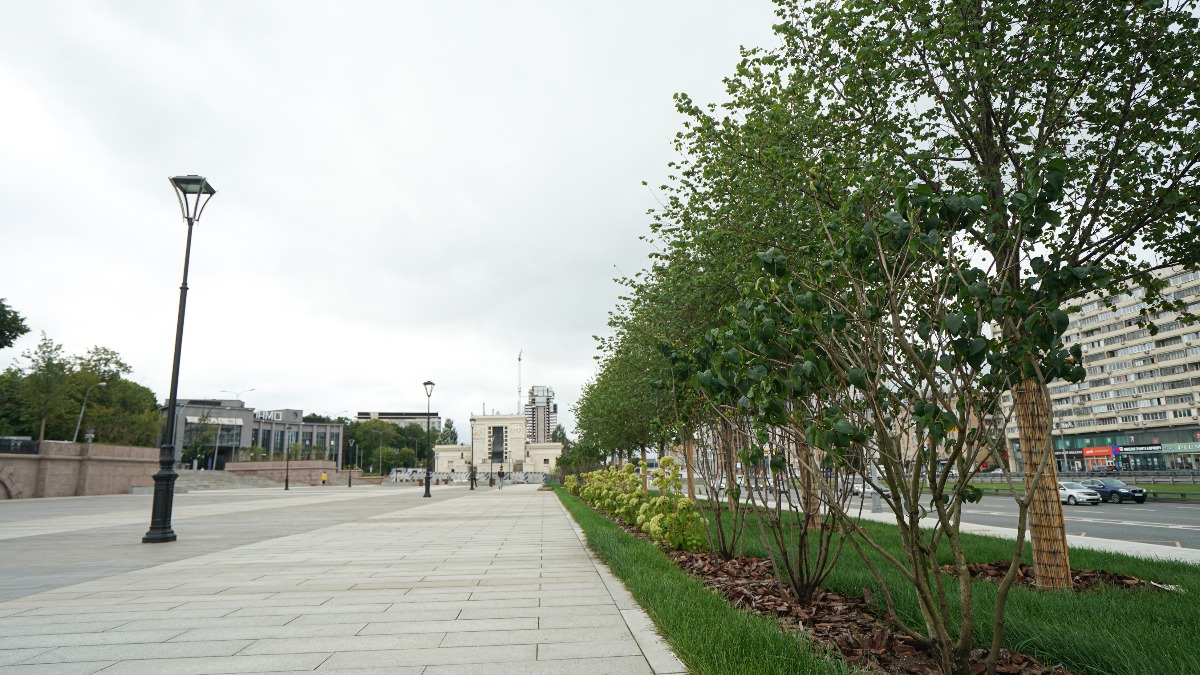 Шесть проектов подмосковных парков победили на всероссийском конкурсе