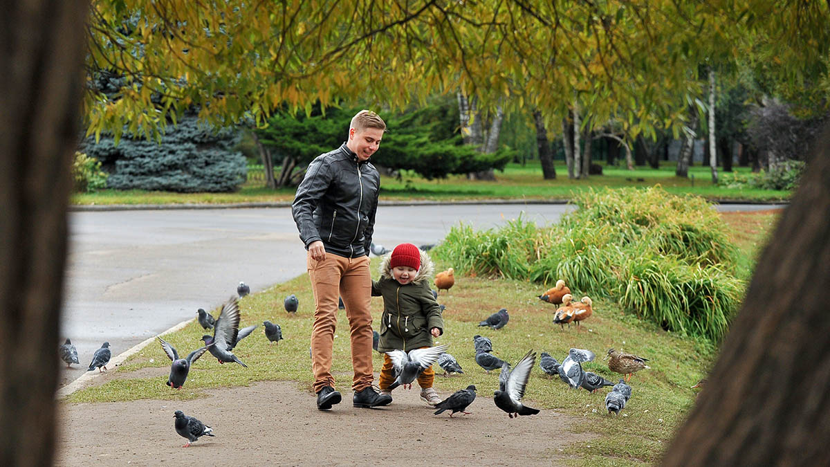 Погода в Москве 24 сентября 2025 года