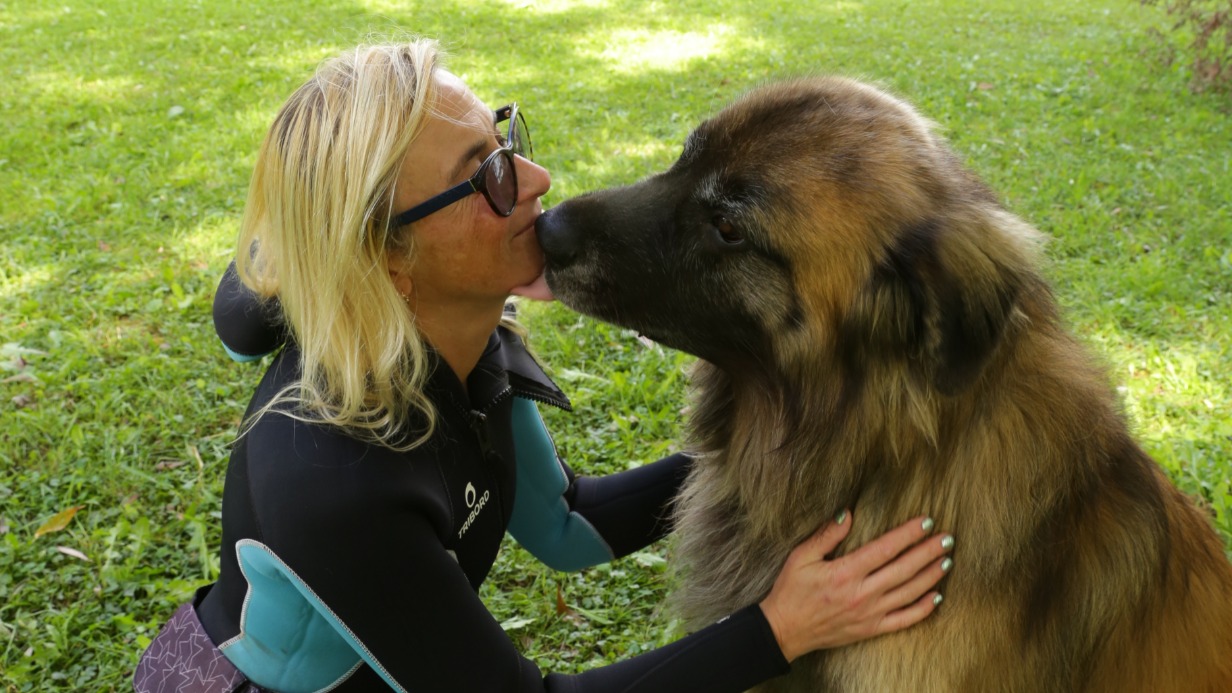 Какие собаки могут сдать экзамен и стать спасателем на водах