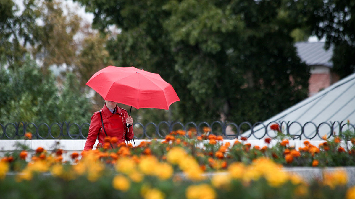 Синоптики предупредили москвичей об осадках до конца недели 