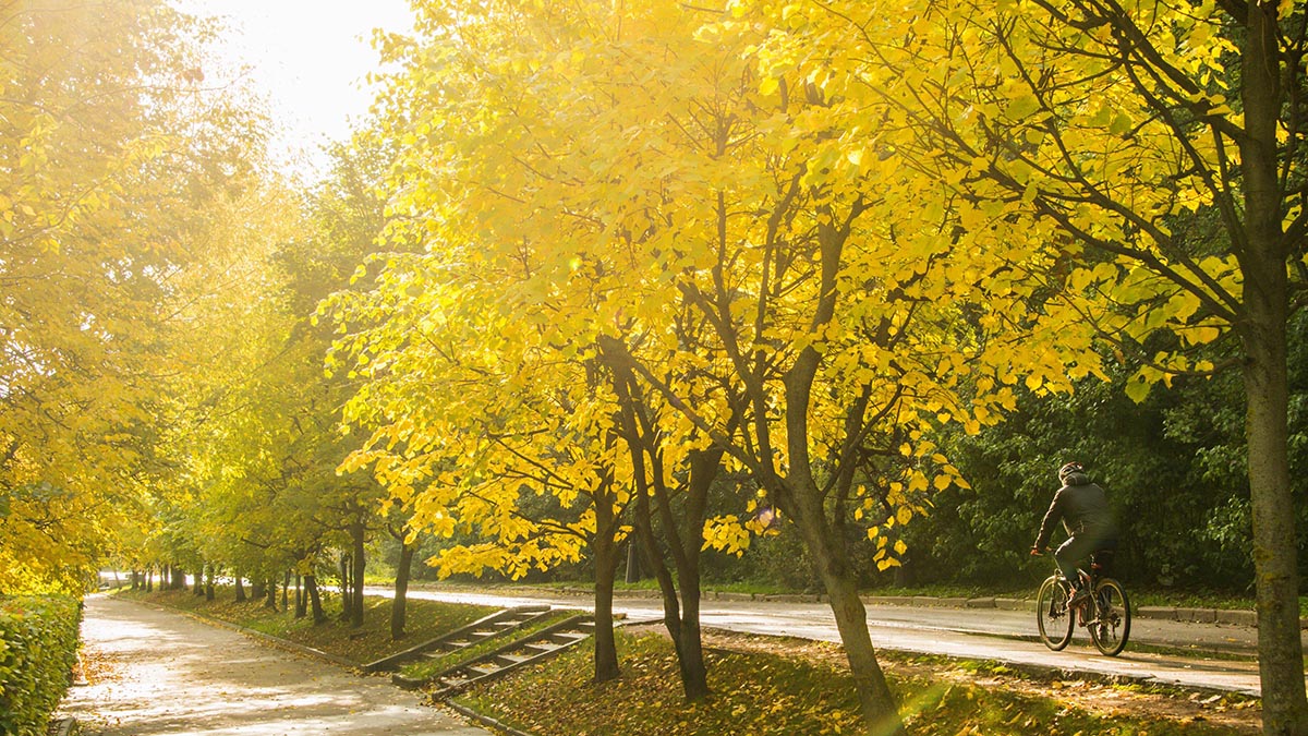 «Лето попрощается тепло»: синоптик рассказал о погоде на предстоящей неделе