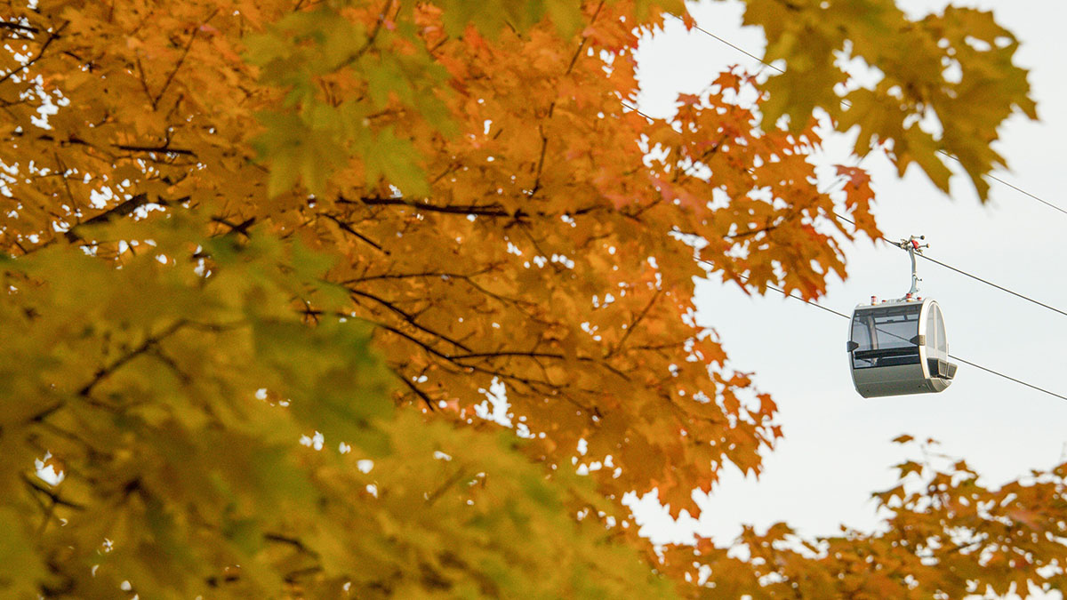 Астролог назвала самые важные и судьбоносные дни в сентябре текущего года