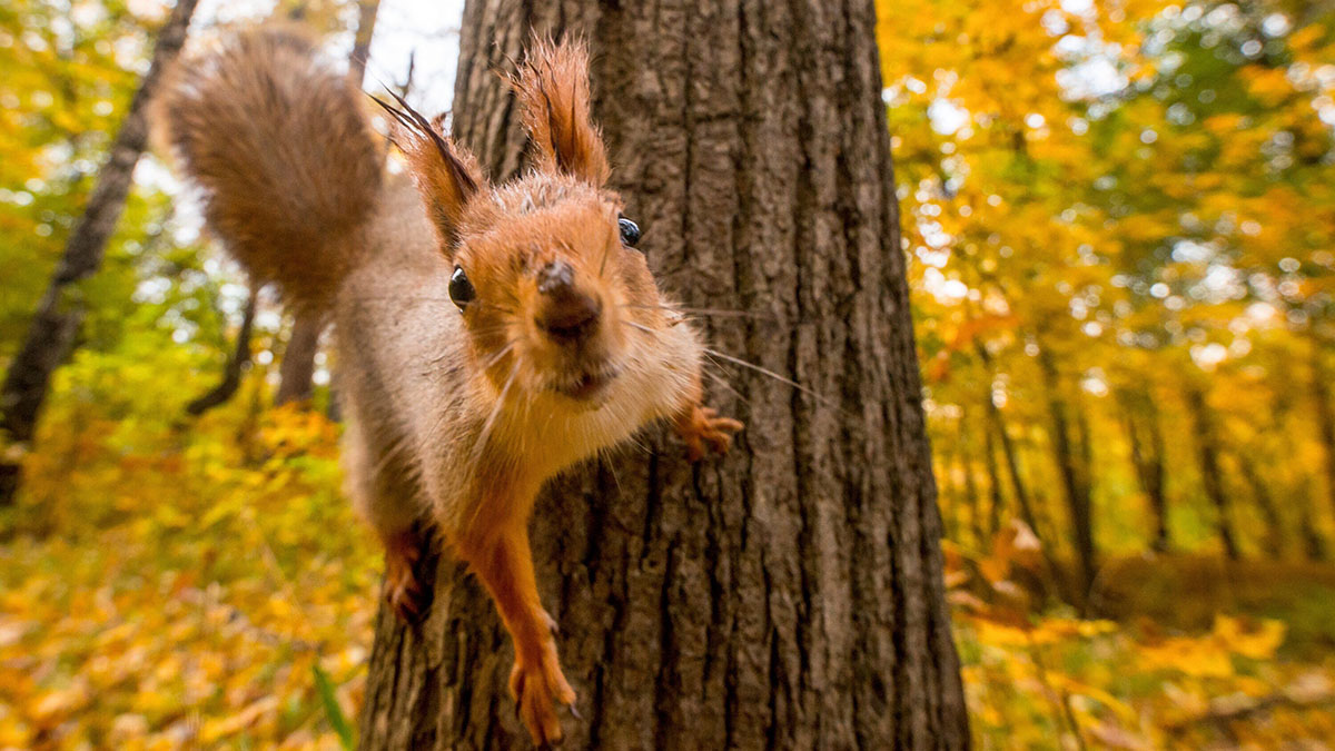 «Кризис — это возможности»: как справиться с хандрой из-за начала осени