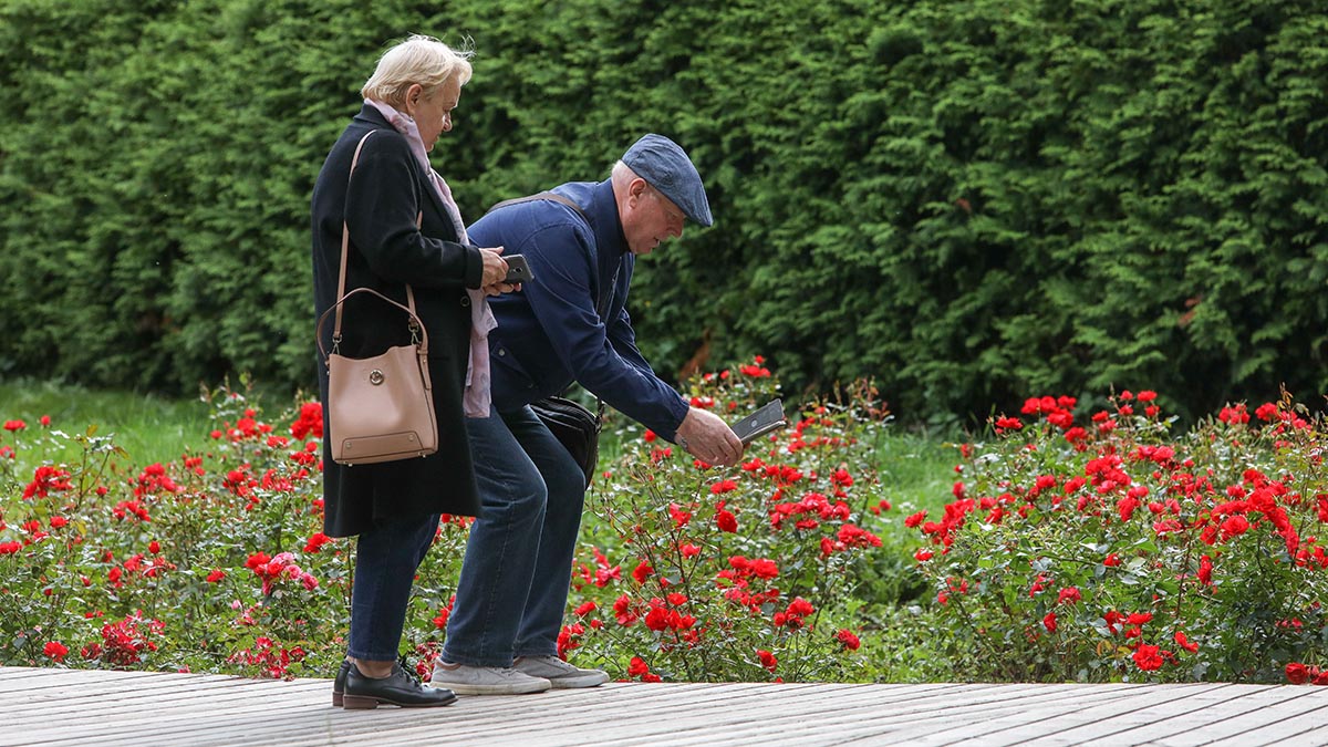 «Периферия антициклона»: синоптики рассказали о погоде в Москве 28 августа