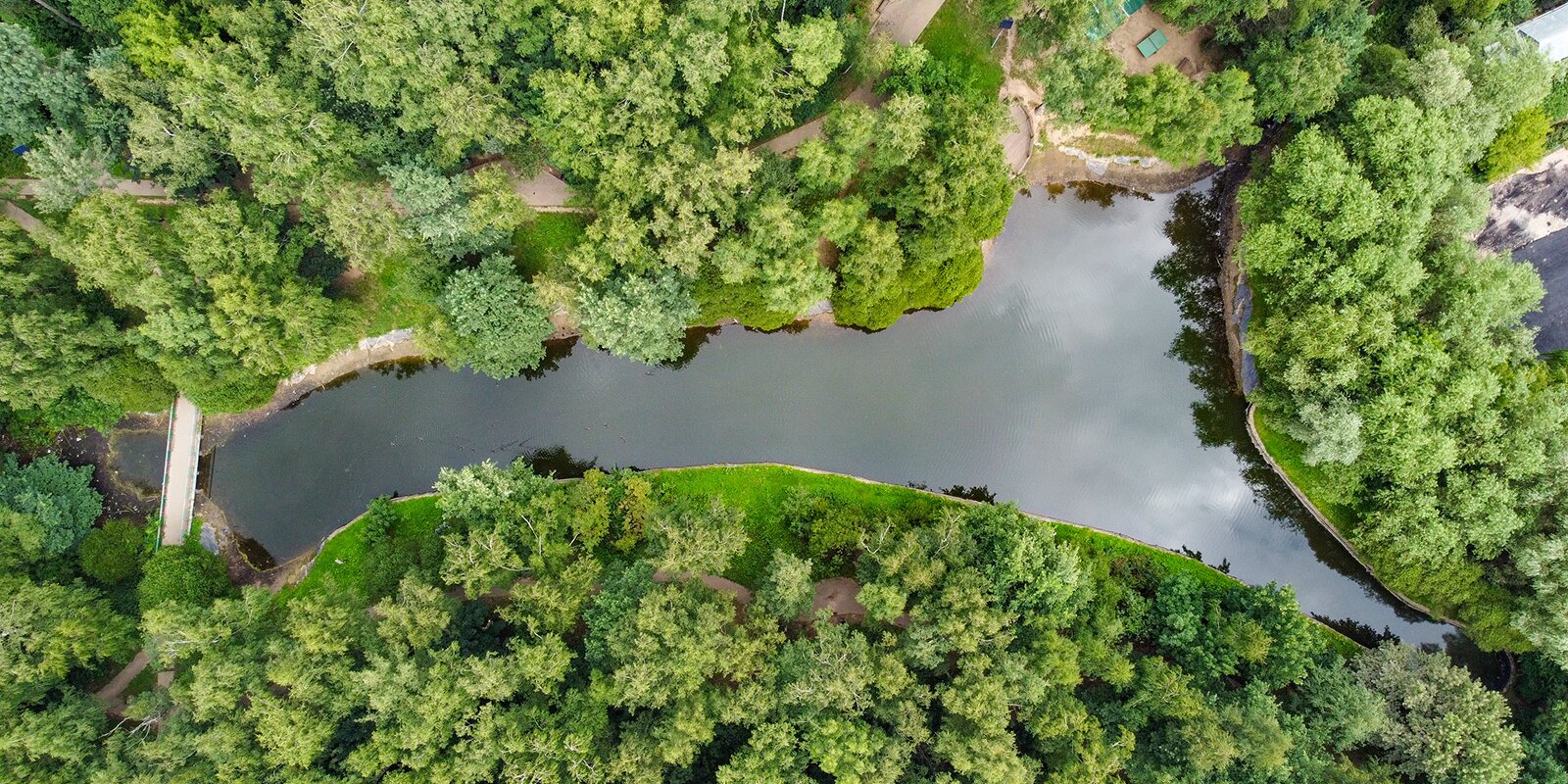 Благоустройство Медведковского пруда началось на северо-востоке столицы