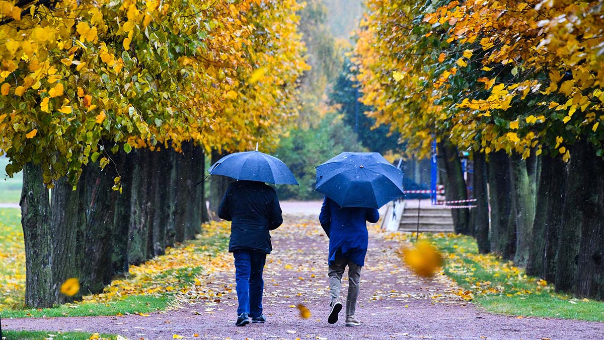 «Предсказать количество осадков невозможно»: москвичей предупредили о холоде в ближайшие дни