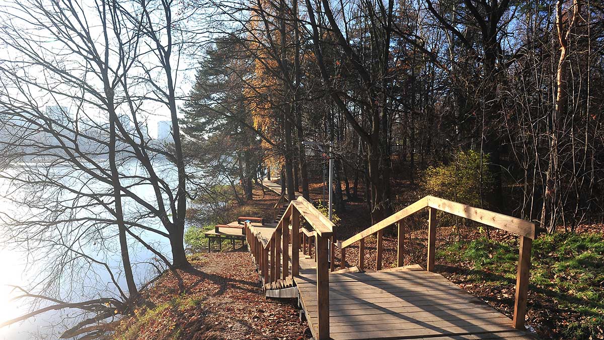 Синоптики пообещали жителям Центральной России аномально теплую погоду