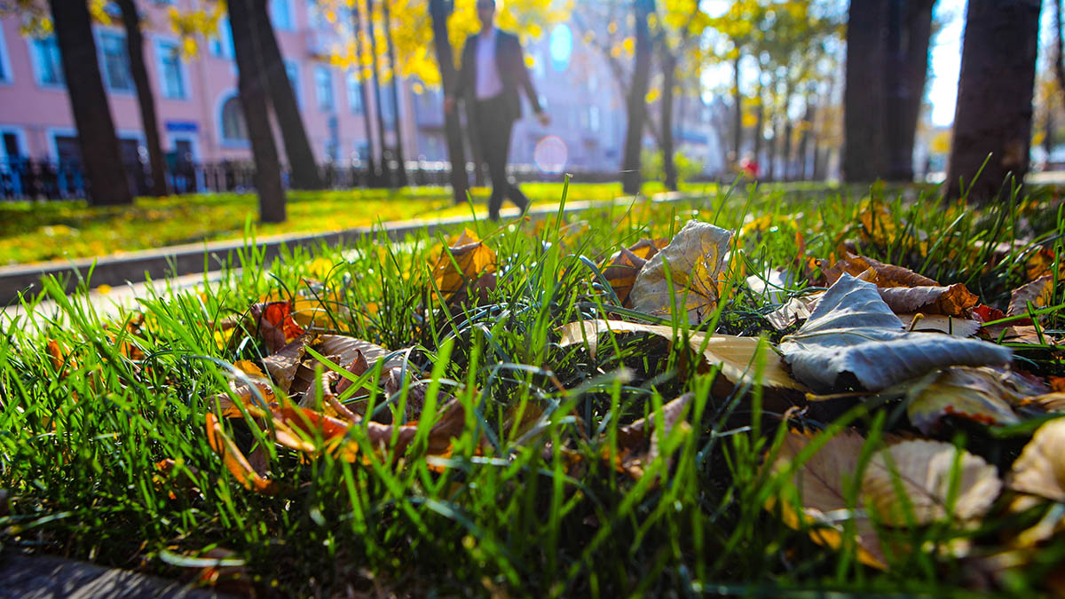 Синоптик рассказала об улучшении погоды в Москве на выходных