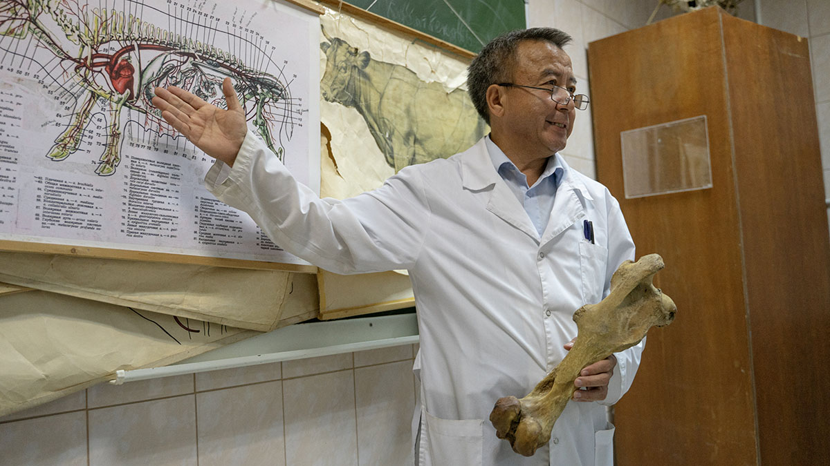 Профессор Продеус призвал усилить контроль за качеством медобразования