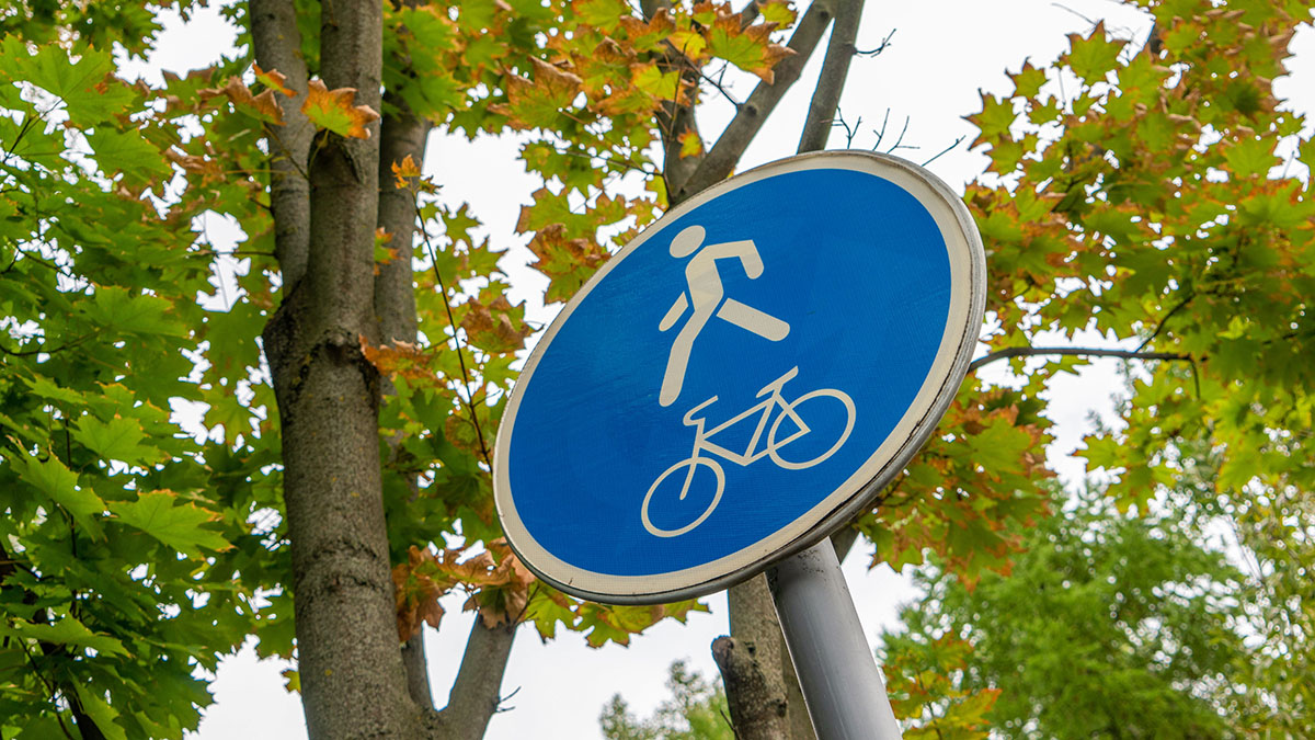 Велосипедный и беговой маршруты появятся в лесопарке «Кусково»