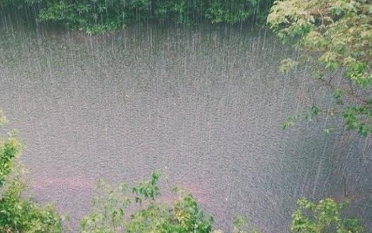 В одном из районов Сахалина ввели режим ЧС из-за схода 20 селей