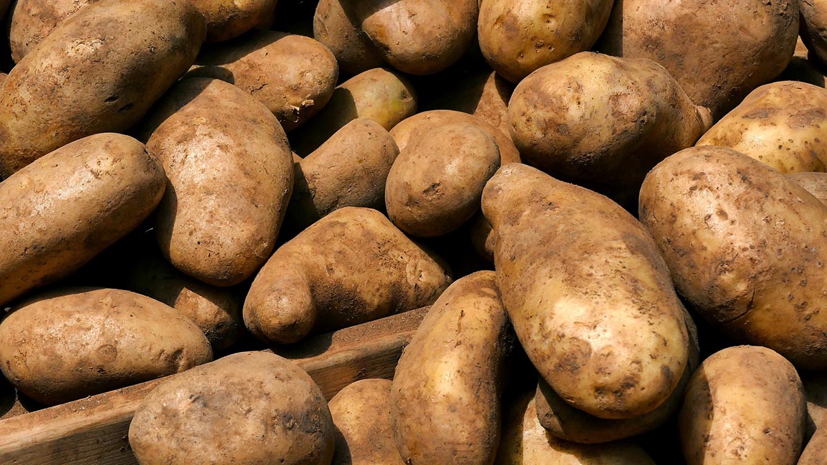 Двое парней из Владивостока умерли, надышавшись гнилой картошкой