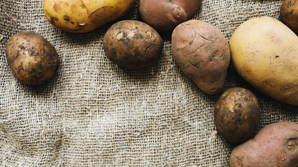 Подмосковные врачи помогли мужчине, засунувшему картофель себе в задний проход