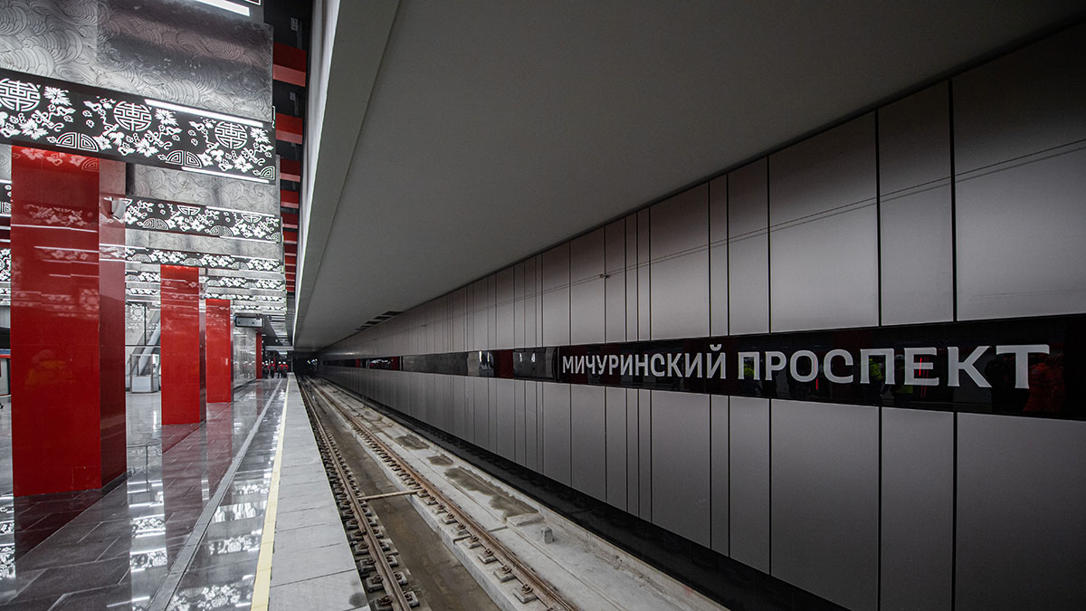 Пассажир московского метро украл деньги у музыкантов, выступавших в вестибюле