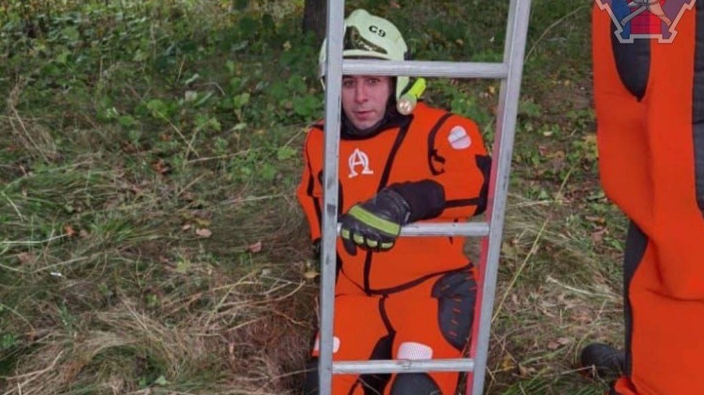 Спасатели достали собаку из колодца на севере Москвы