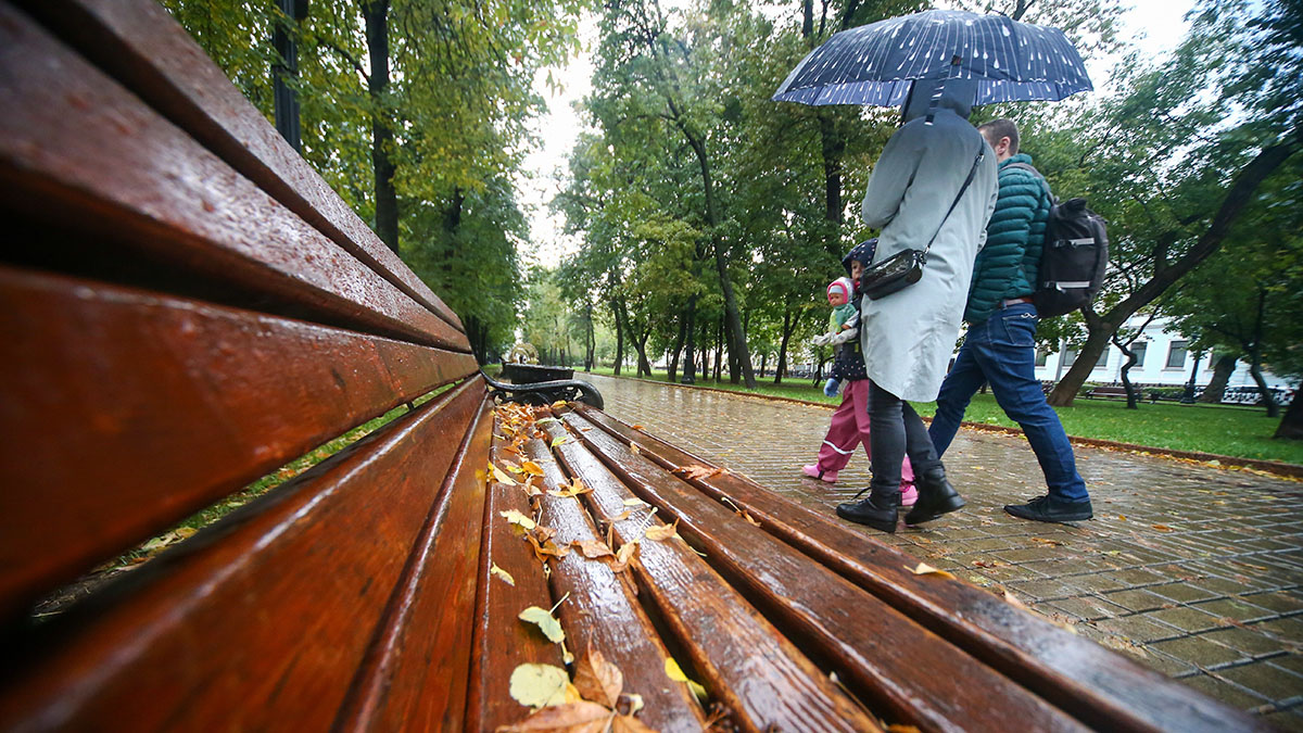 Москвичей предупредили о сильном ветре и дожде 28 октября