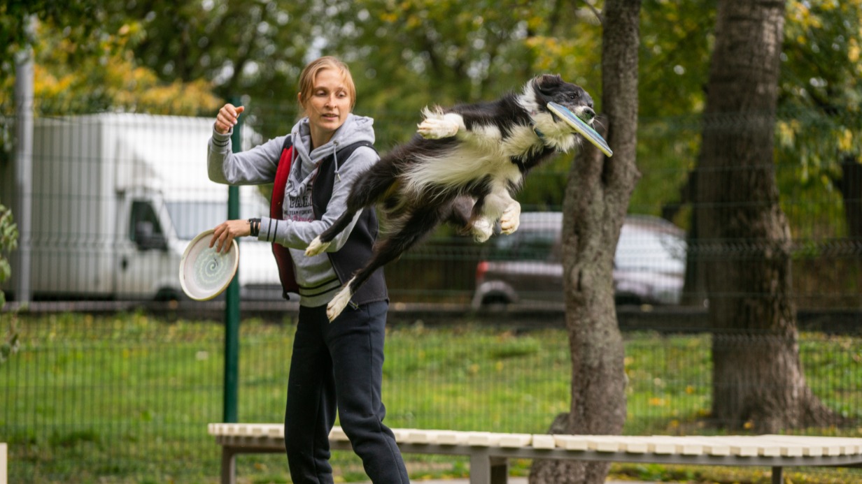 Екатерина Гурова и бордер-колли Русик в парке