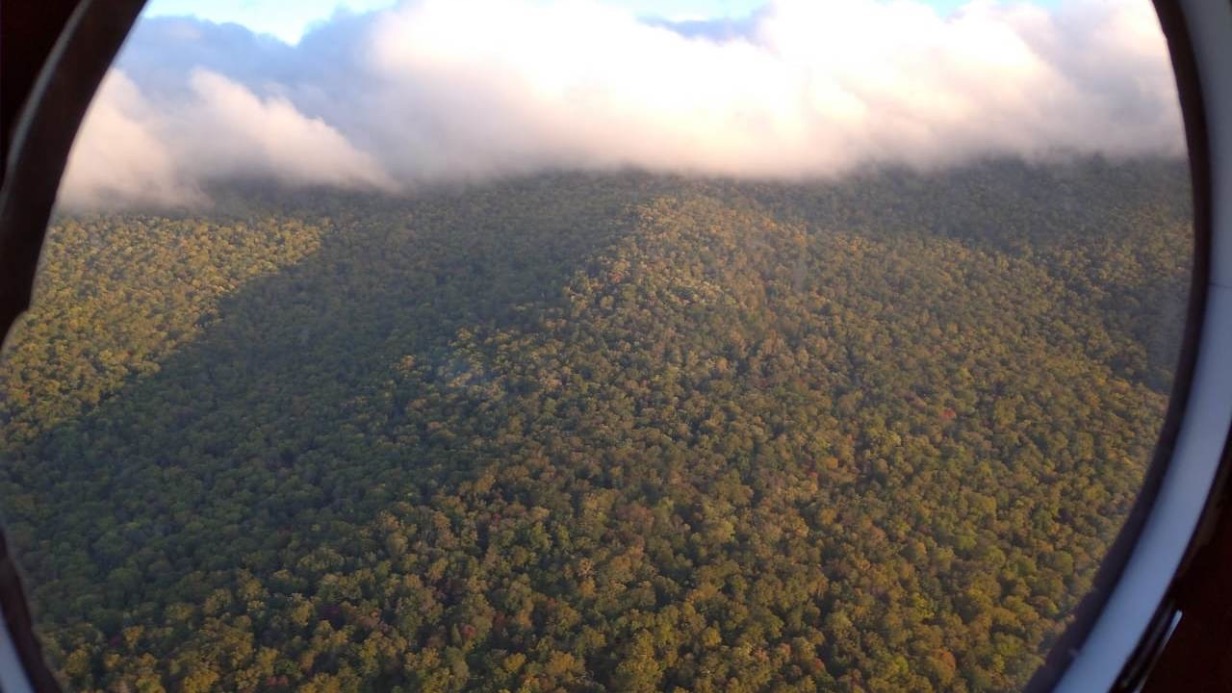 Обломки пропавшего самолета Ан-26 обнаружили в Хабаровском крае