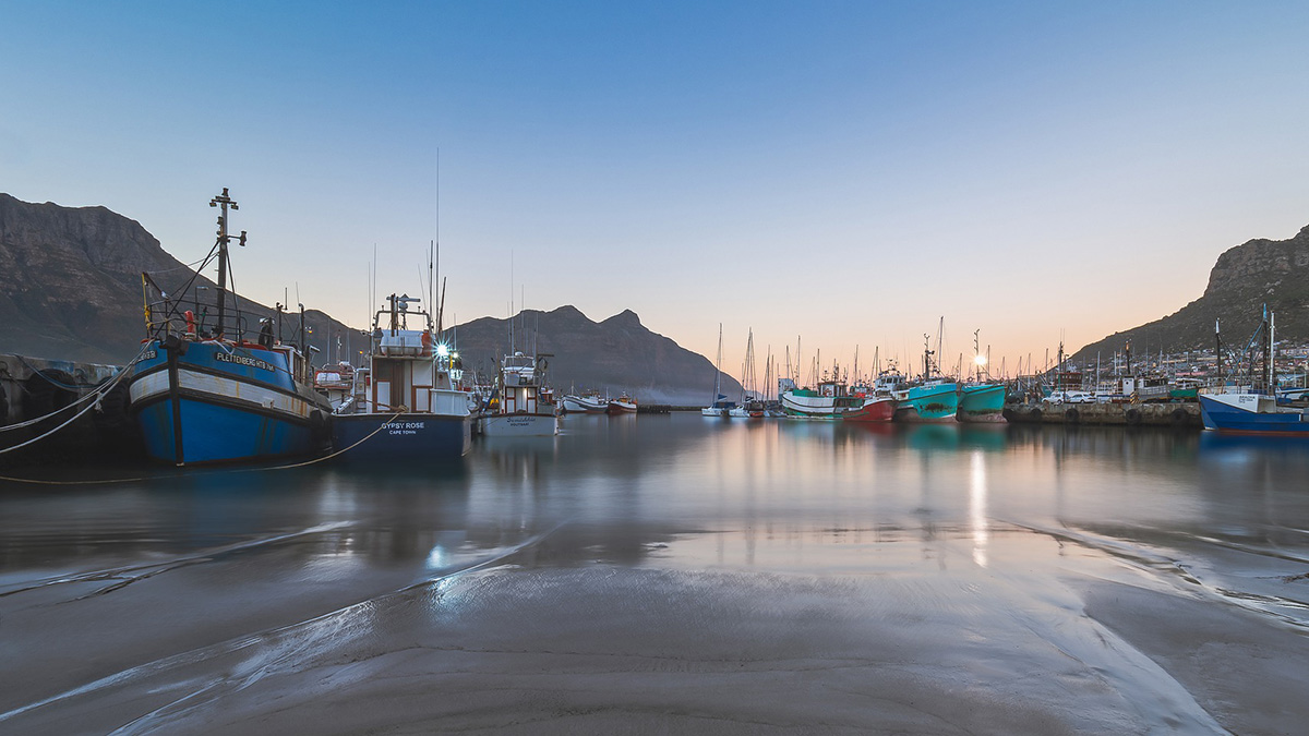 Студент из ЮАР нашел под камнем существо, прожившее 15 миллионов лет