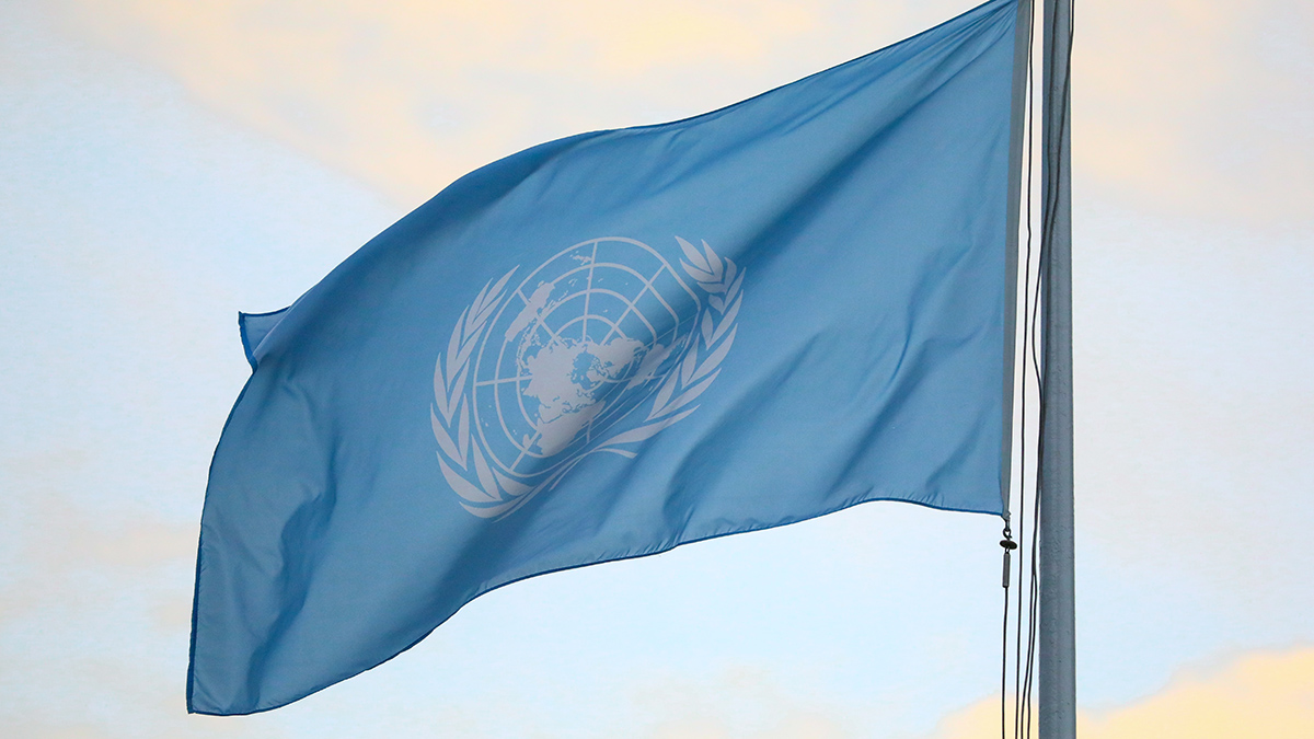 Генеральная Ассамблея ООН. Флаг НАТО. Флаг ООН на фоне здания. Сербия и ООН флаг.