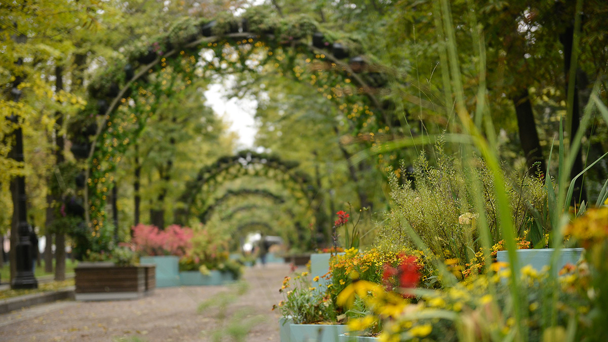 Москвичам пообещали летнее тепло на предстоящей неделе
