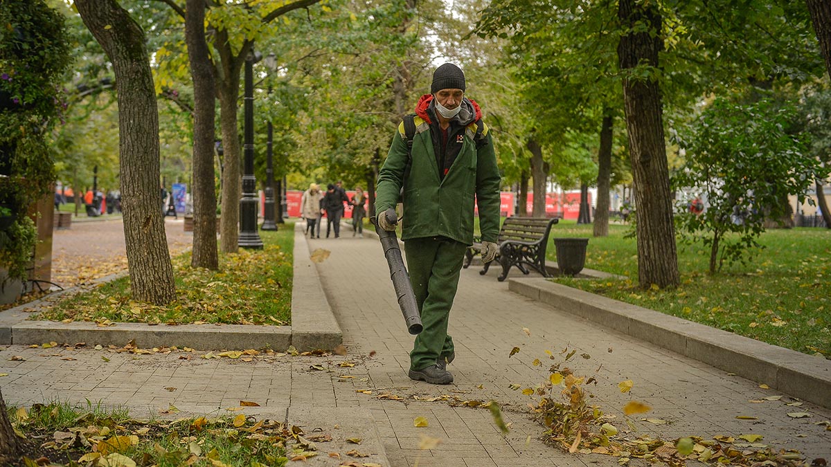 Власти Подмосковья собираются запретить мигрантам работать в некоторых сферах