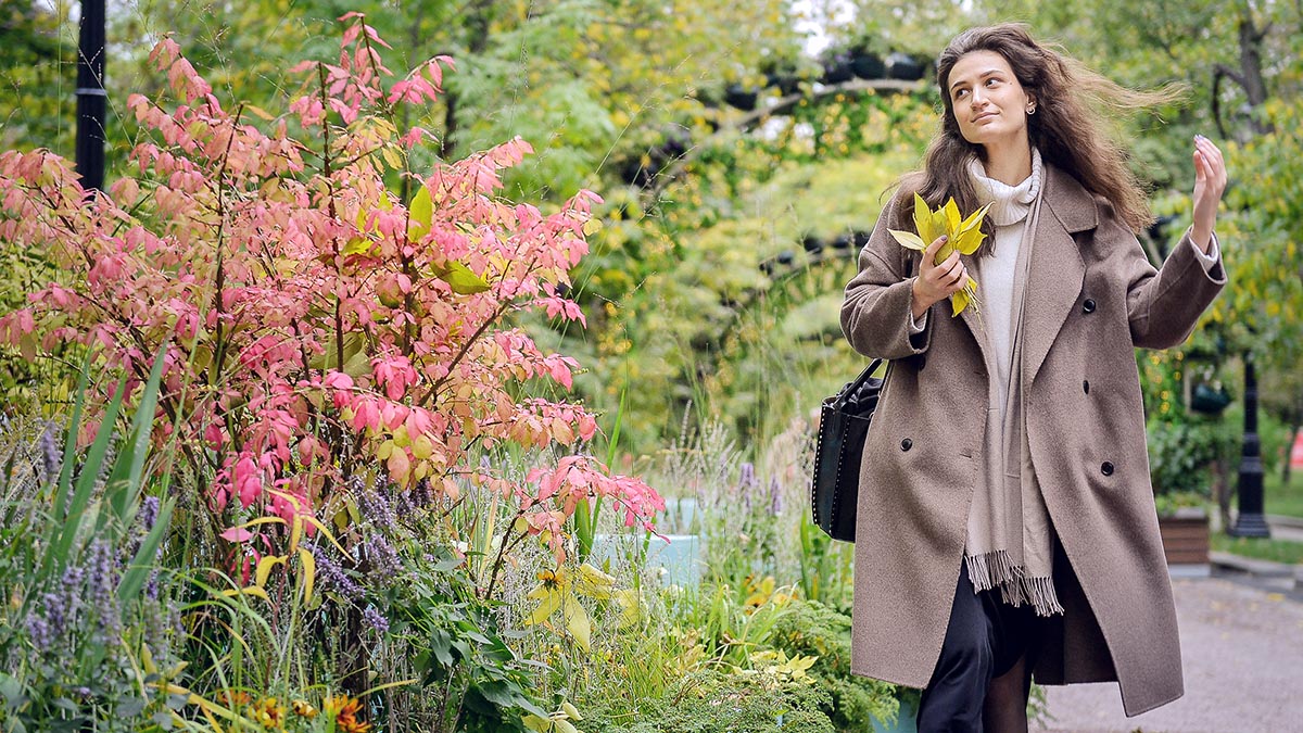 Синоптики сообщили москвичам о погоде 7 октября