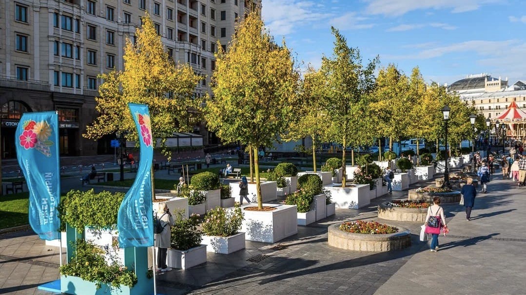 Почти 50 тысяч растений из садов фестиваля «Цветочный джем» высадят в столичных парках