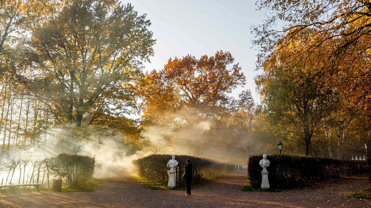 Прошедшая ночь в Москве стала самой холодной с начала осени