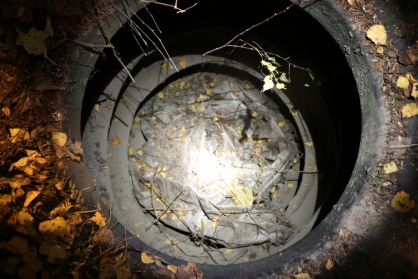 «Руны и обереги на валькириях»: в Рязанской области совершено ритуальное убийство ребенка