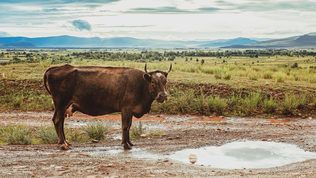 Сокровищница Сибири: что посмотреть и чем заняться в Тюменской области