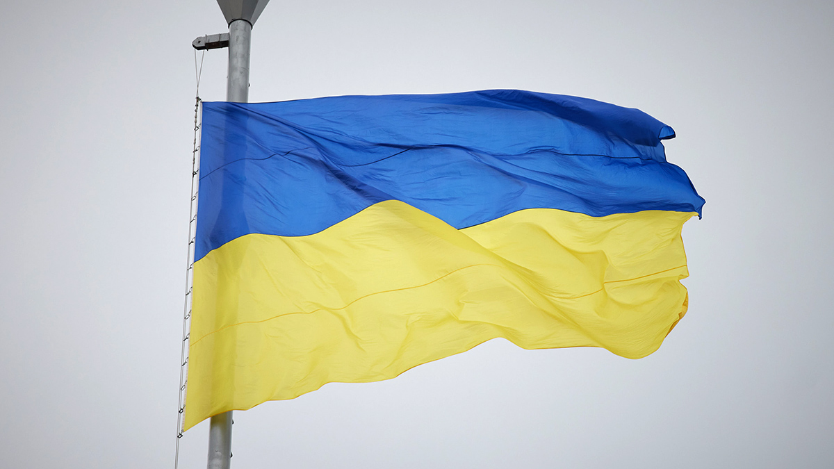Почему украинский флаг. Флаг Украины 2022г. Флаг Украины 1921. Герб Украины на фоне флага Украины. Проекты флага Украины.