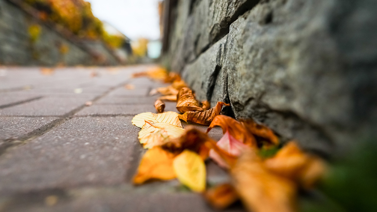 Вильфанд: Погода в Москве до четверга будет скучной, потепление придет к выходным