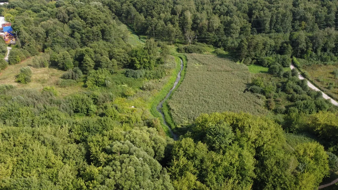 Реку Чурилиху в парке «Кузьминки-Люблино» приведут в порядок