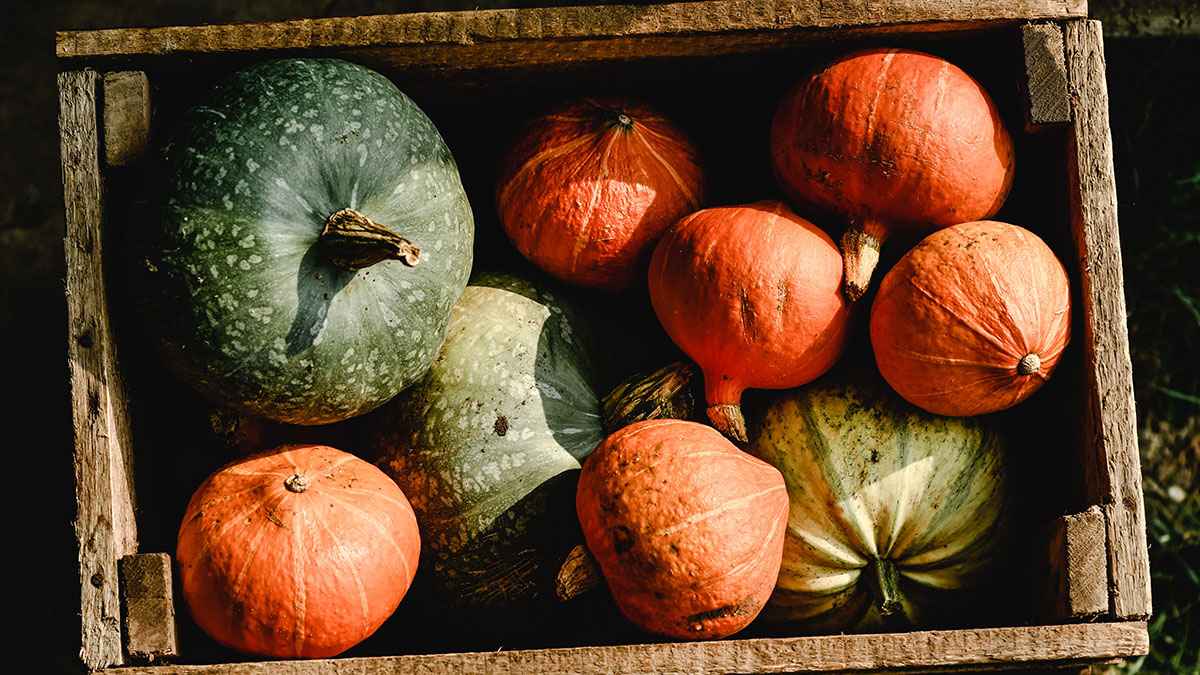 Врач Васильева рассказала, какие продукты нужно есть осенью