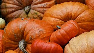 Как правильно выбрать тыкву